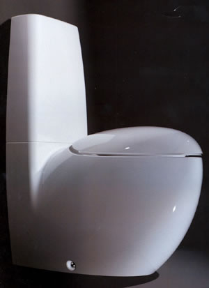 Laufen Alessi Toalett
